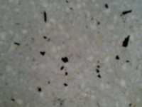 /album/galeria-de-fotos/a67754357-6-marmorite-martins-minas-gerais-jpg/