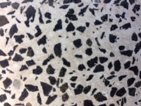 /album/galeria-de-fotos/img-0061-jpg2/