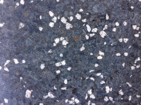 /album/galeria-de-fotos/img-0065-jpg2/