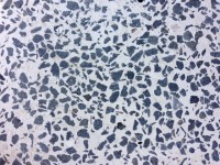 /album/galeria-de-fotos/img-0066-jpg2/