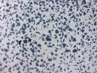 /album/galeria-de-fotos/img-0067-jpg2/