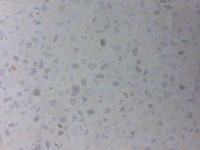 /album/galeria-de-fotos/img-0073-jpg2/