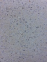 /album/galeria-de-fotos/img-0338-jpg/