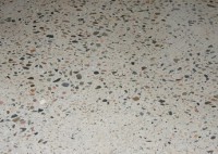 /album/galeria-de-fotos/ined3-jpg/